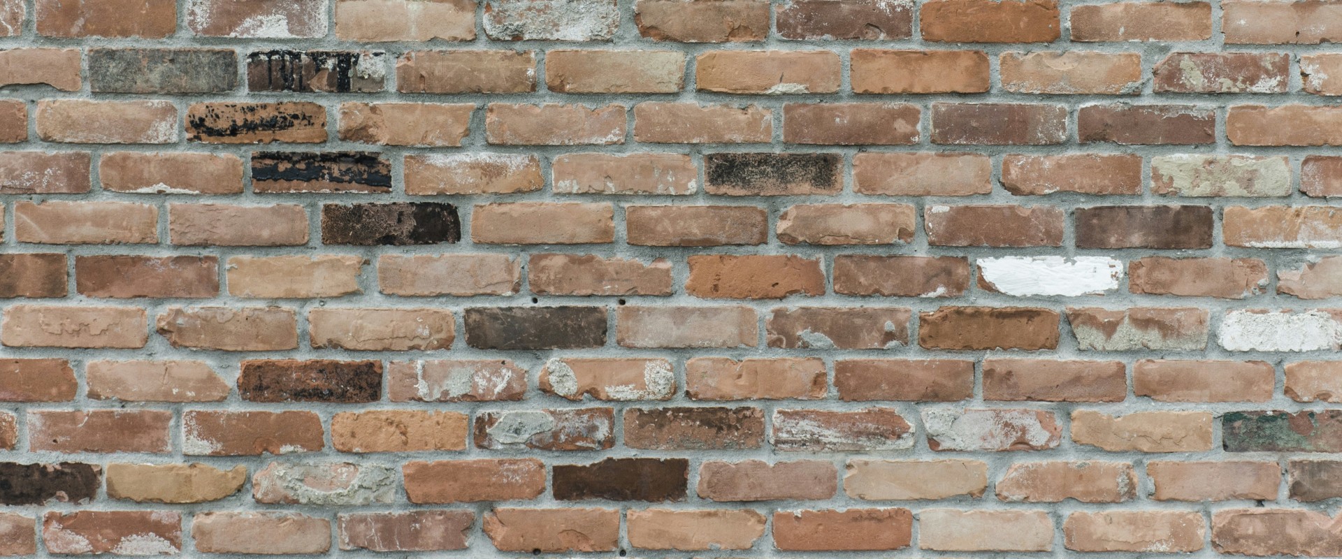 The Ins and Outs of Brick Movers: Expert Insights